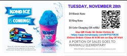 Kona Ice preorder code